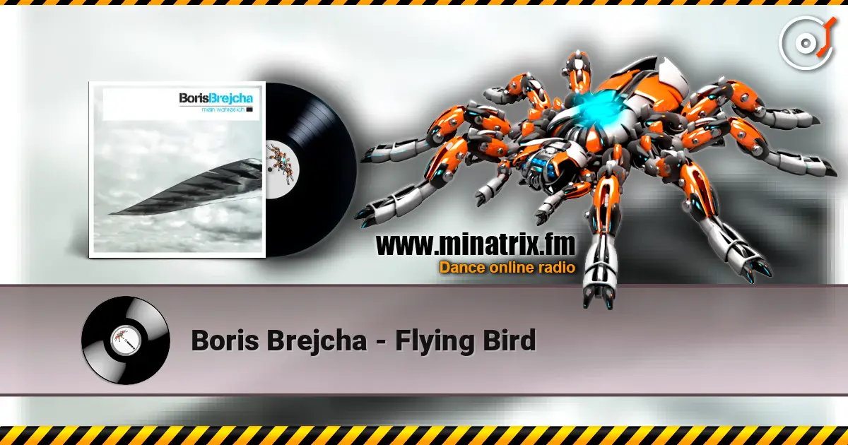 Boris Brejcha - Flying Bird écouter en ligne en haute qualité | Minatrix.FM
