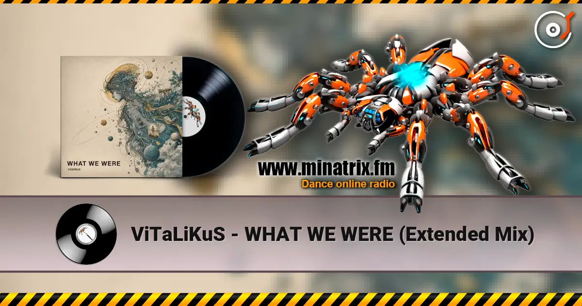 ViTaLiKuS - WHAT WE WERE (Extended Mix) écouter en ligne en haute qualité | Minatrix.FM