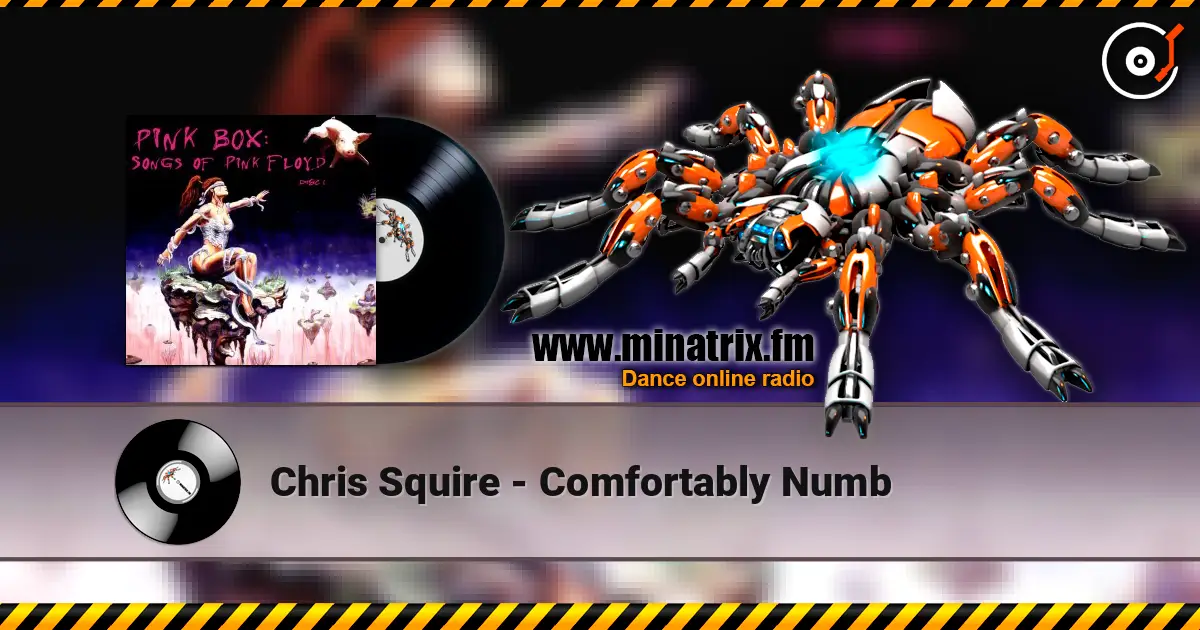 Chris Squire - Comfortably Numb écouter en ligne en haute qualité | Minatrix.FM