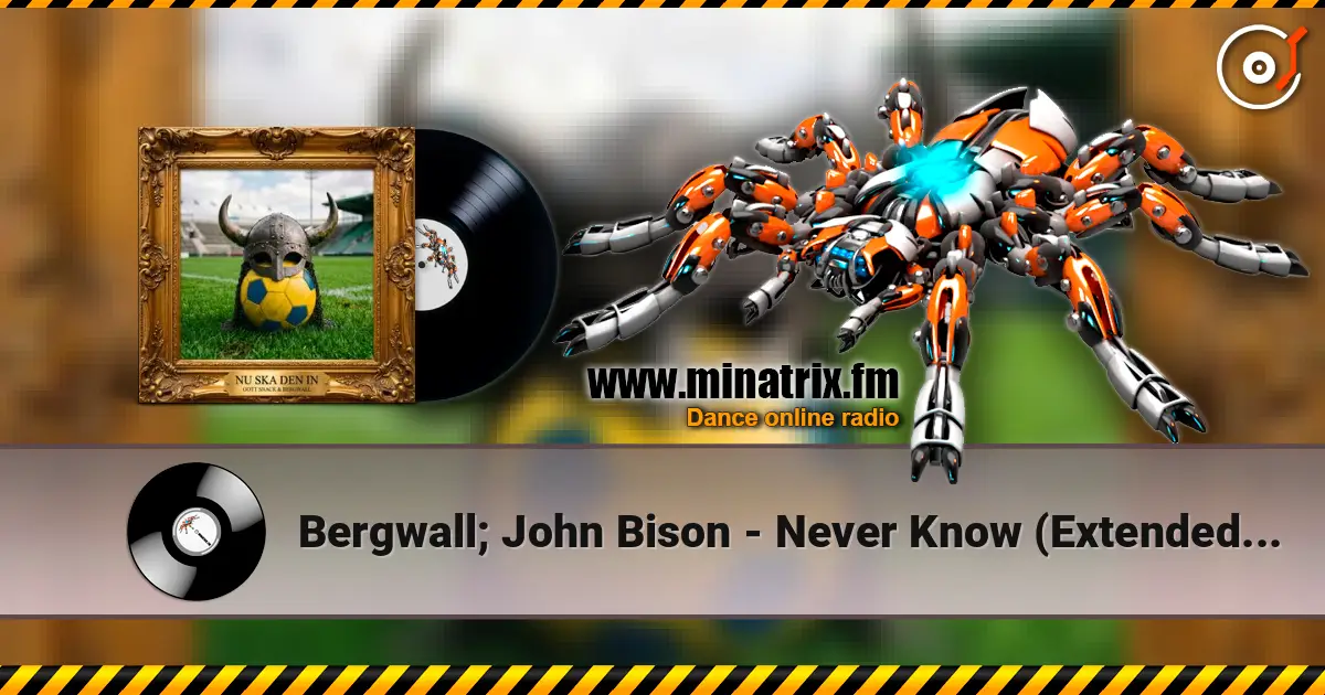 Bergwall; John Bison - Never Know (Extended Mix) écouter en ligne en haute qualité | Minatrix.FM