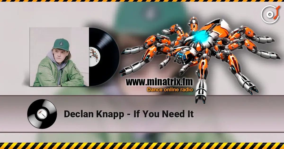Declan Knapp - If You Need It écouter en ligne en haute qualité | Minatrix.FM