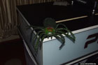 Photo 26